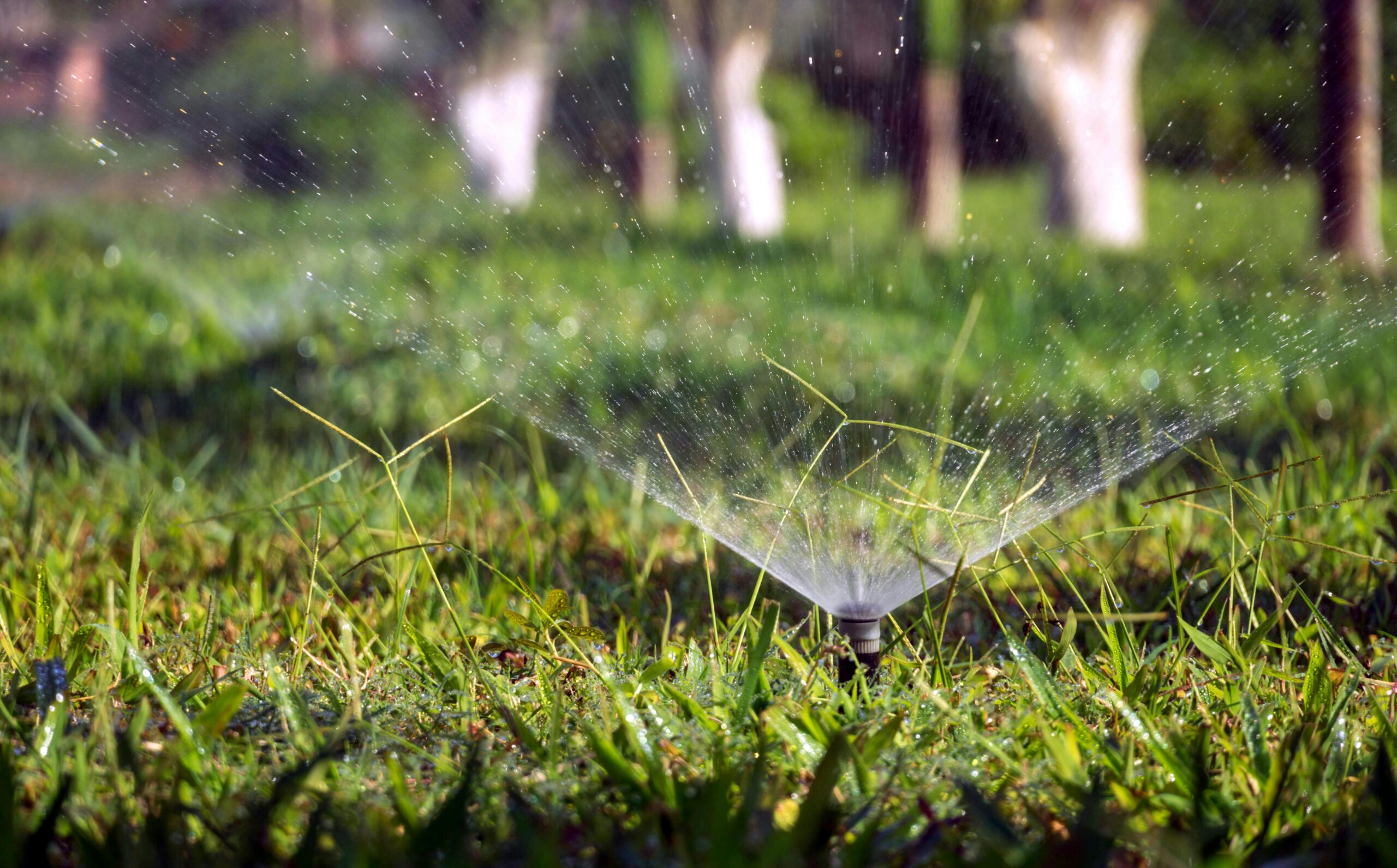 pexels-qhung999-25283561 Getti irrigazione Foto di Q. Hưng Phạm: https://www.pexels.com/it-it/foto/acqua-erba-prato-spruzzatore-25283561/